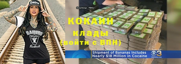 прущие грибы Богородицк