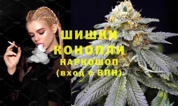 прущие грибы Богородицк