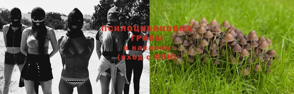 PSILOCYBIN Богданович