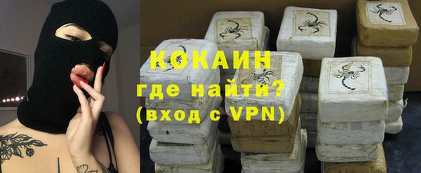 прущие грибы Богородицк
