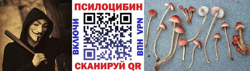 купить закладку  Шарыпово  Галлюциногенные грибы прущие грибы 